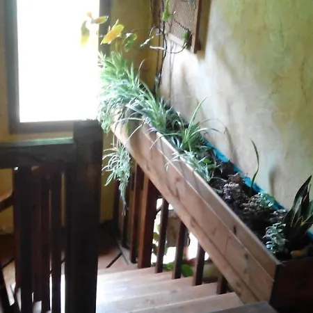 Jaktstuga El Escondite Del Miera