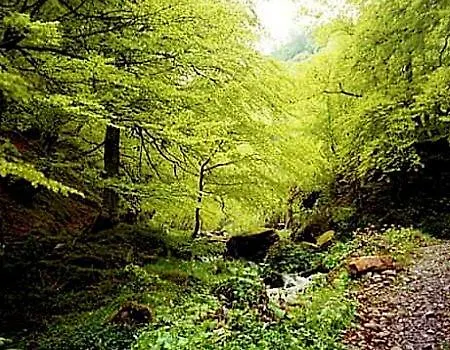 El Escondite Del Miera San Roque de Riomiera