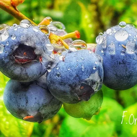 Jaktstuga El Escondite Del Miera