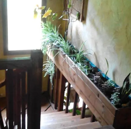 山林小屋 El Escondite Del Miera