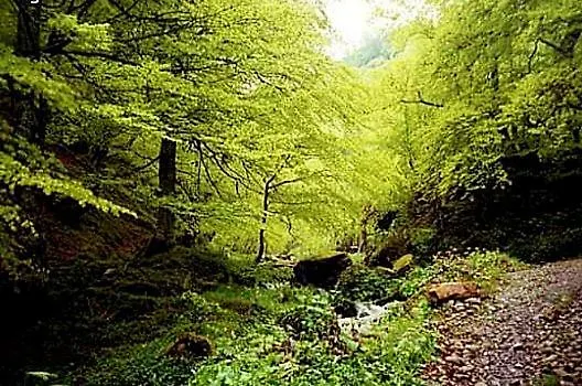 El Escondite Del Miera San Roque de Ríomiera
