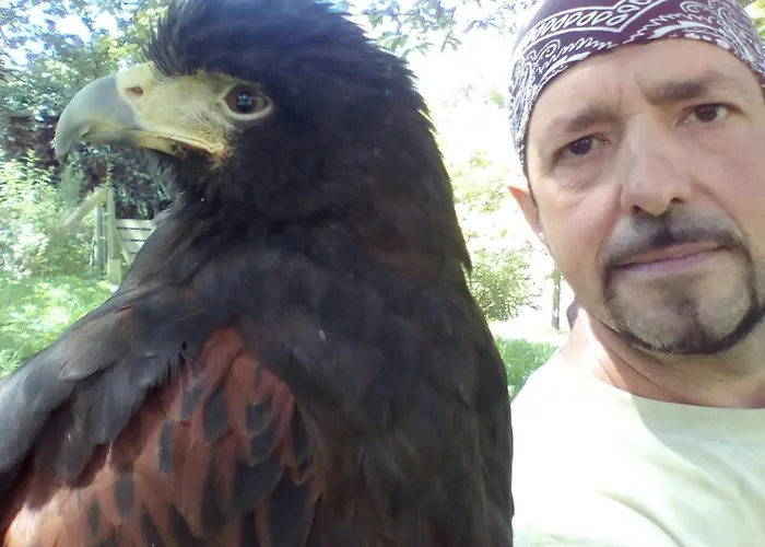 El Escondite Del Miera * San Roque de Ríomiera