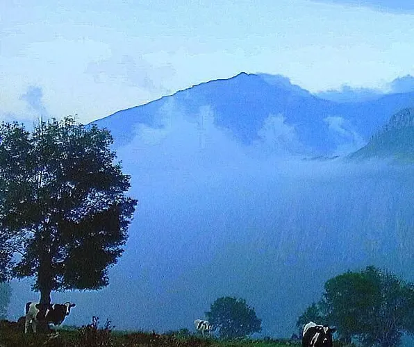 Lodge El Escondite Del Miera