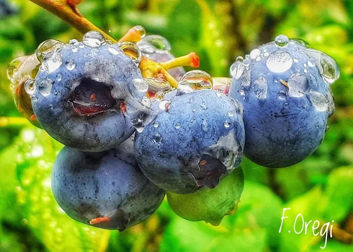 Lodge El Escondite Del Miera