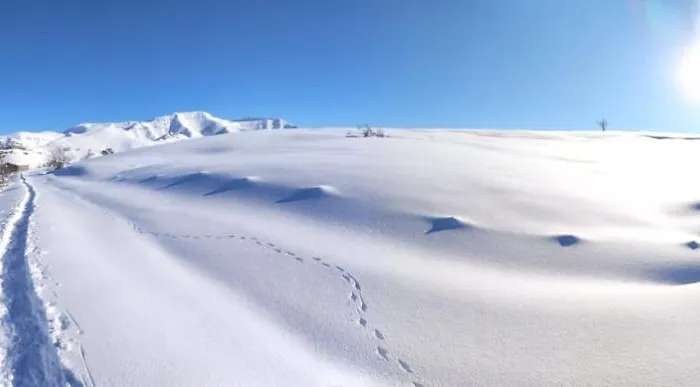 El Escondite Del Miera Lodge